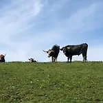 بيت ريفي Rio Cubas (Cantabria)