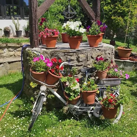 Rio Cubas (Cantabria)