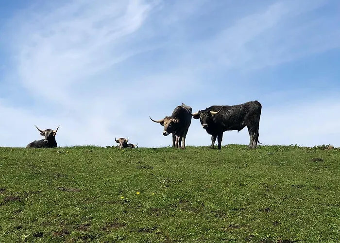 Inn Rio Cubas (Cantabria)