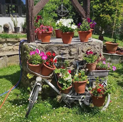 Rio Cubas (Cantabria)